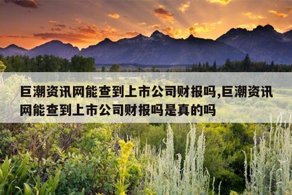 佳云科技巨潮資訊網(巨潮資訊網公告)下載