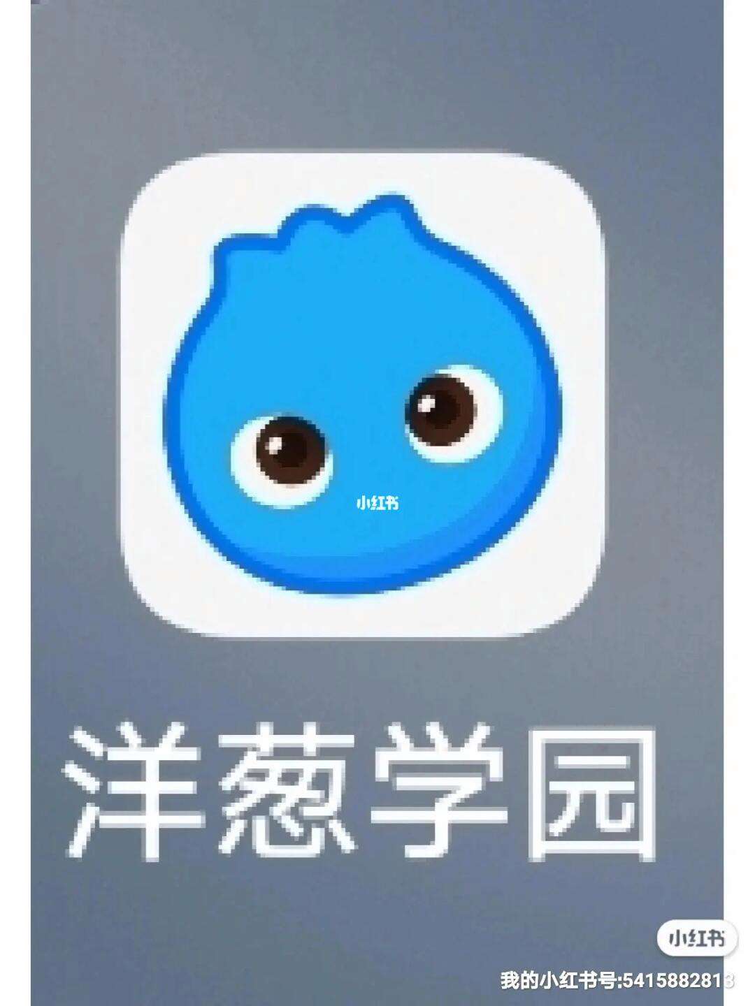 暫停緩存應用下載什么(暫停緩存應用下載什么軟件好)下載
