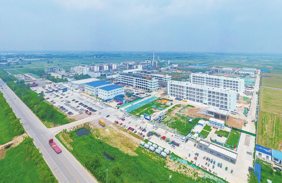 臨邑科技資訊哪家好(臨邑科技資訊哪家好一點)下載