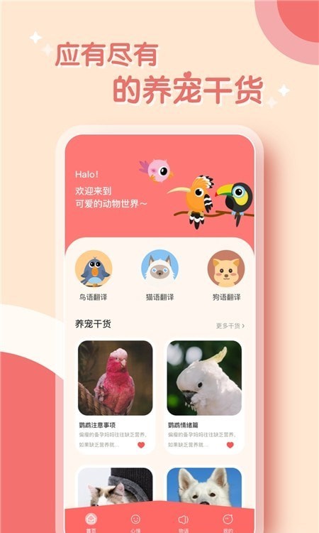 界面翻譯應用下載安裝(軟件界面翻譯工具app)下載