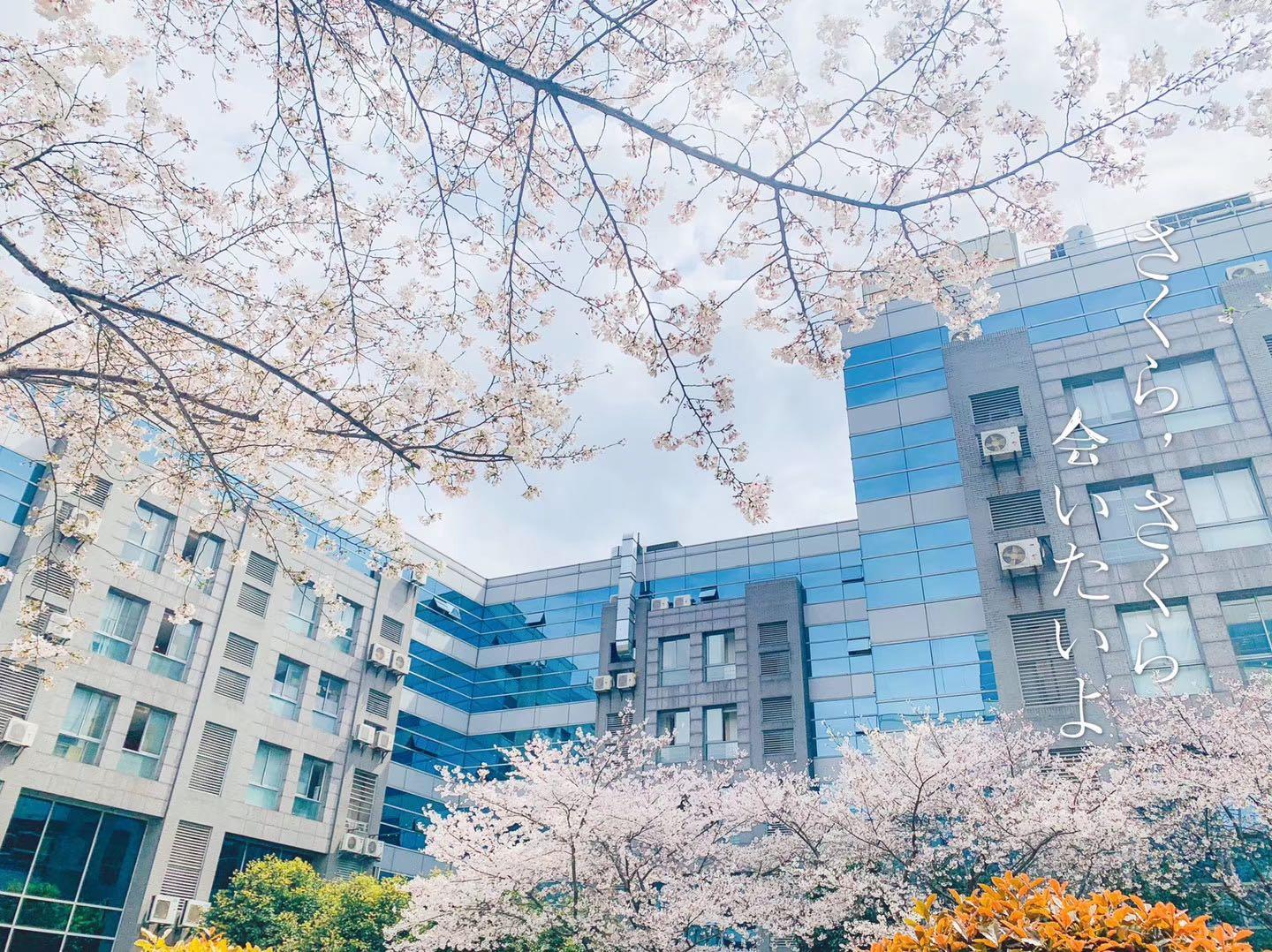 北京科技大學招考資訊網(北京科技大學招生辦聯系電話)下載
