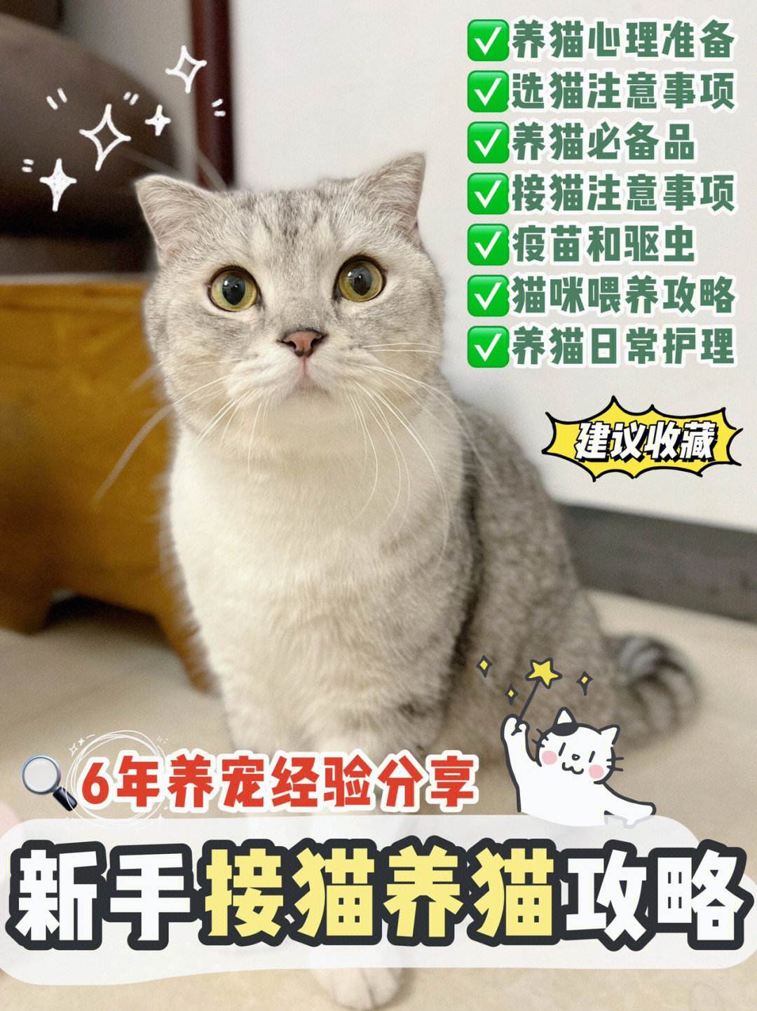 養(yǎng)貓貓?zhí)桨甘钟喂ヂ?一款養(yǎng)貓的游戲叫什么)下載