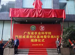 廣東省華南資訊科技(廣東省華南資訊科技集團招聘)下載