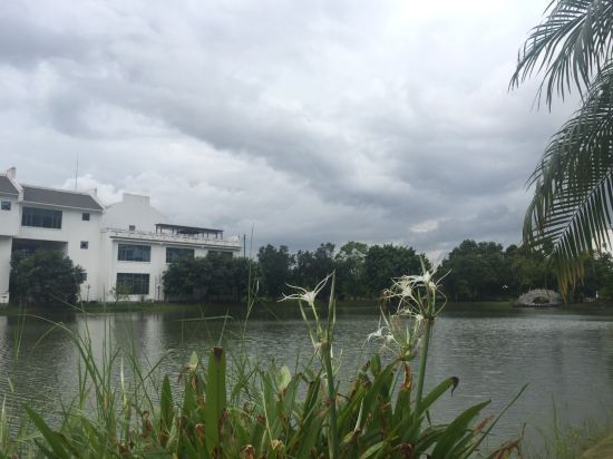 南沙資訊科技園單位性質(zhì)(南沙資訊科技園單位性質(zhì)怎么樣)下載