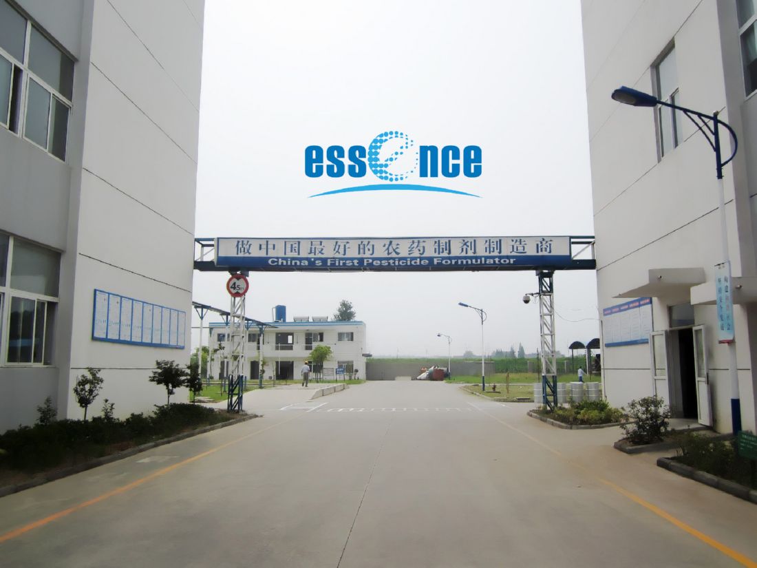 寧津科技資訊有哪些企業(yè)(寧津科技資訊有哪些企業(yè)招聘)下載