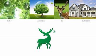 包含鹿享家科技有限最新資訊的詞條