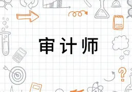 資訊科技審計師(審計咨詢是做什么的)下載