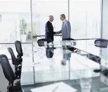 資訊科技審計師(審計咨詢是做什么的)下載