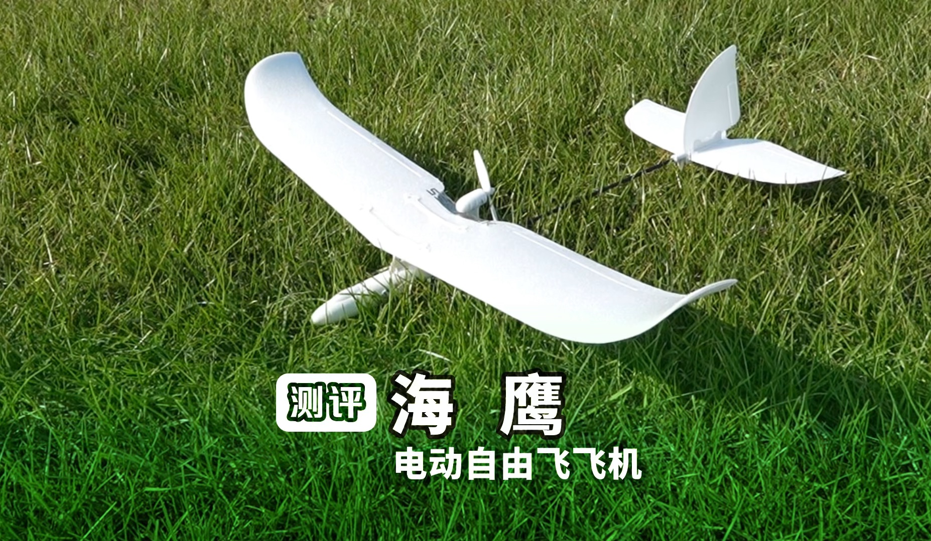 自由飛手游(自由飛行戰斗手游)下載