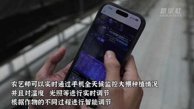 全天候科技資訊(全天候網絡競技公司官網)下載
