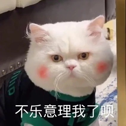 萌喵下載應(yīng)用怎么封了呢(萌喵下載應(yīng)用怎么封了呢怎么解除)下載
