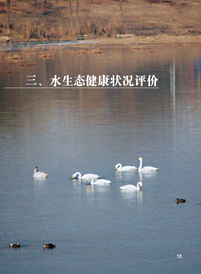 北京生態(tài)電子科技資訊網(北京生態(tài)科技有限公司怎么樣)下載