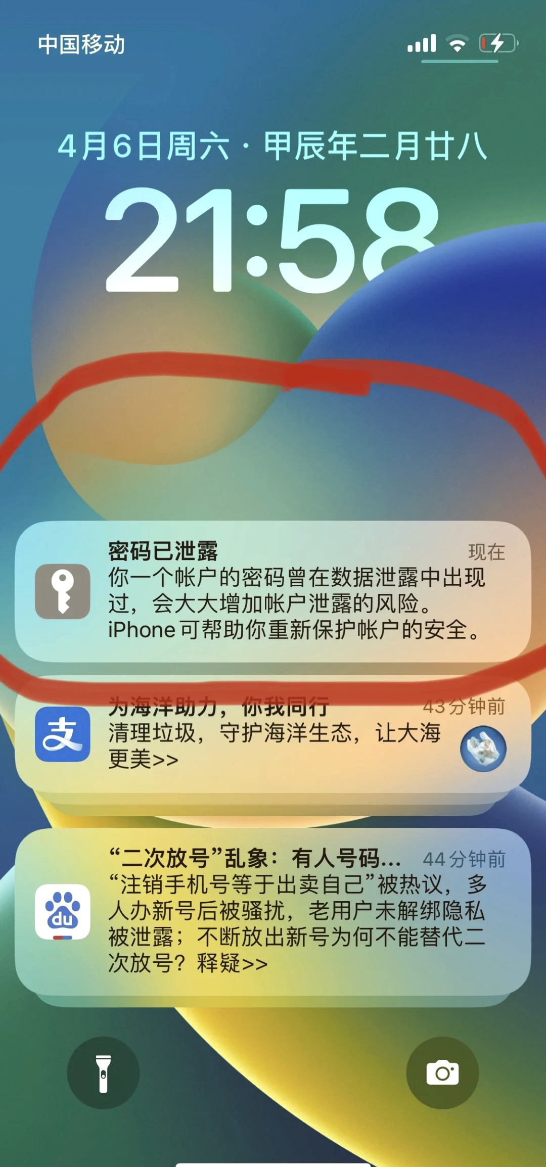 下載不了本地應用程序(為什么點下載本地沒反應)下載