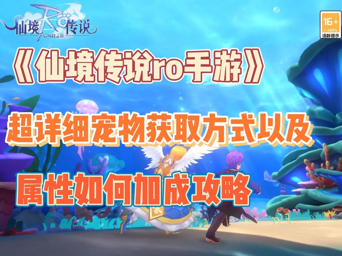 仙境傳說手游攻略寵物(仙境傳說手游攻略寵物技能)下載