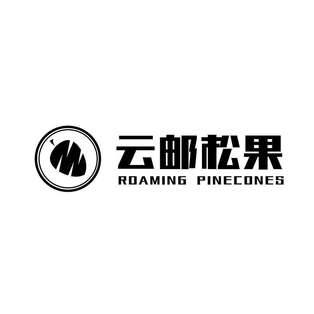 松果科技資訊(松果科技有限公司官網)下載