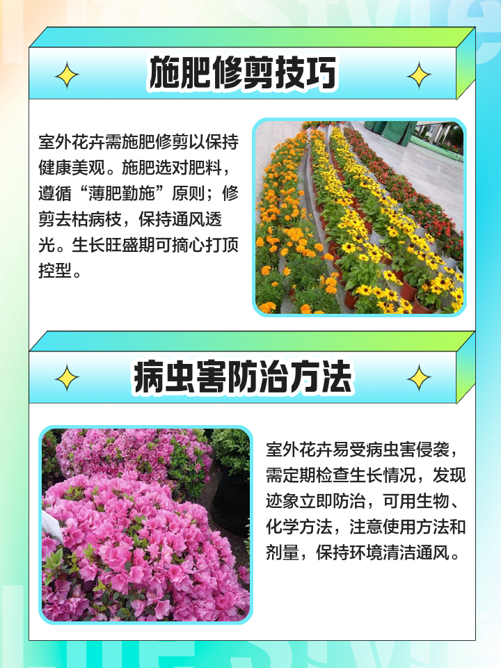 花卉行業(yè)科技前沿資訊(花卉行業(yè)的現(xiàn)狀和發(fā)展趨勢)下載