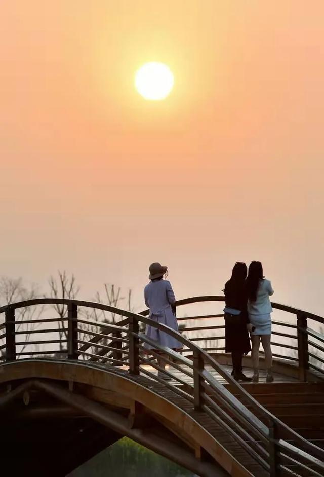 日月情詩(shī)攻略手游(日月情詩(shī)攻略手游官網(wǎng))下載