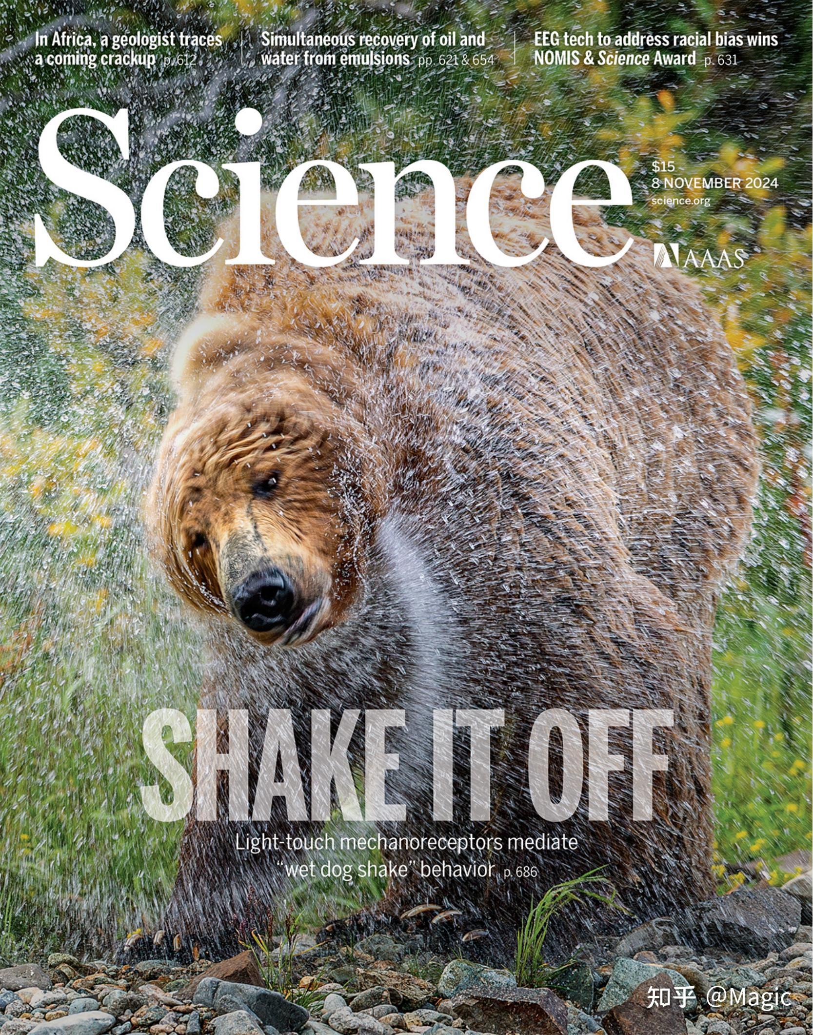 最新科技資訊的雜志(最新的科技資訊從哪里獲得)下載